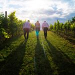 Three businesspeople walking in a field