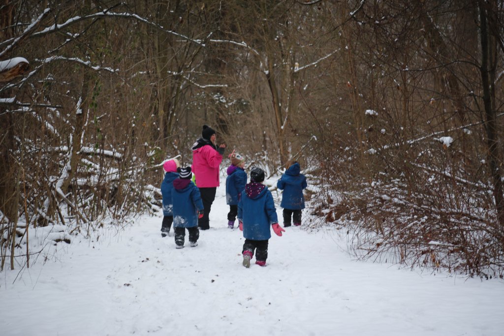 Kindergarten Teacher and students walking in the forest during the winter with snow all around them.