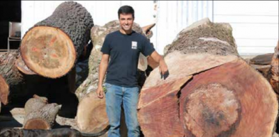 Matt Thomas standing in front of large trees that have been cut down.