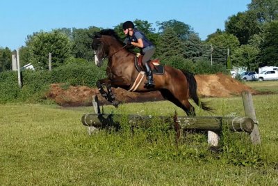 Girl riding a horse that is jumping over a log.