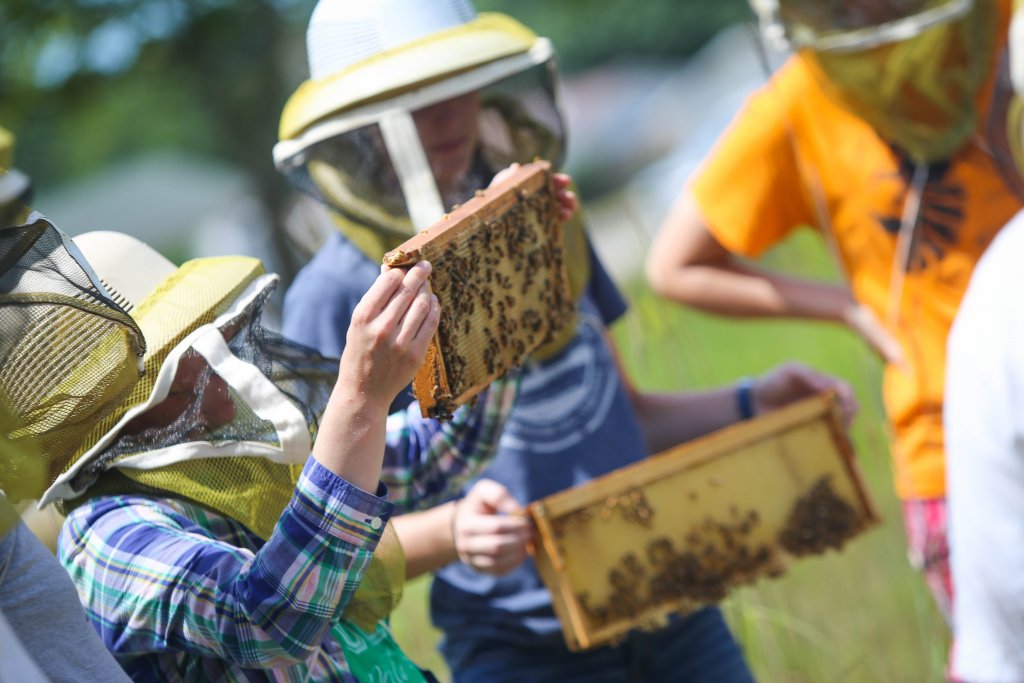 Students holding honey combs