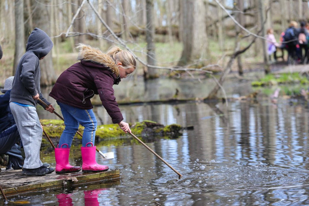 Girl leaning over looking at water holding a long stick in the water
