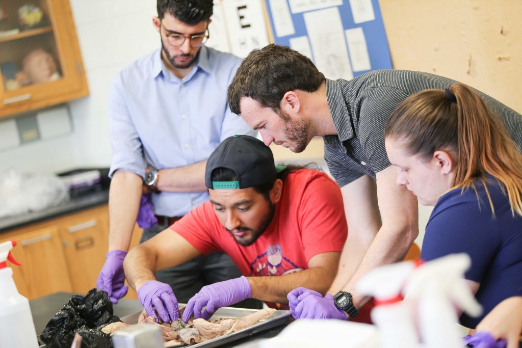 A small group of people watching one man dissect something on a tray