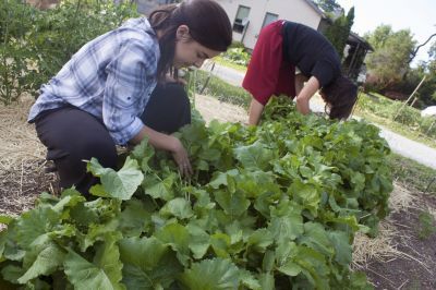 CommunityGarden14-400x266