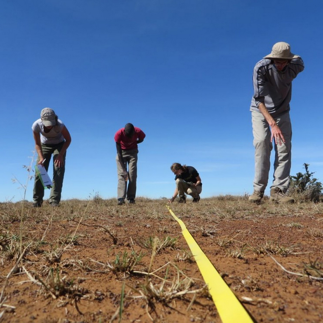 Kenya Field Course